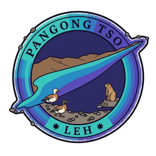 Pangong Tso travel stamp